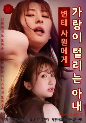 条目档案配图 夜航帖 画面节选